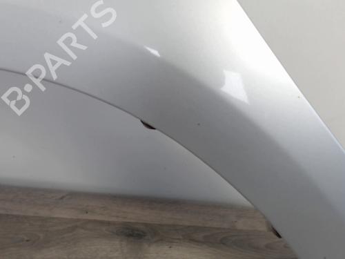 Left front fenders HYUNDAI i20 I (PB, PBT) 1.4 CRDi | BP26199180C41