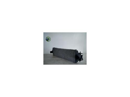 Intercooler RENAULT TRAFIC II Bus (JL) 1.9 dCI 80 (JL0B) (82 hp) 24022477