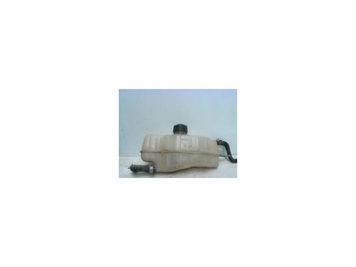 Used Expansion tank RENAULT CLIO III Grandtour (KR0/1_) 1.5 dCi (KR0G) (68 hp) 25619394