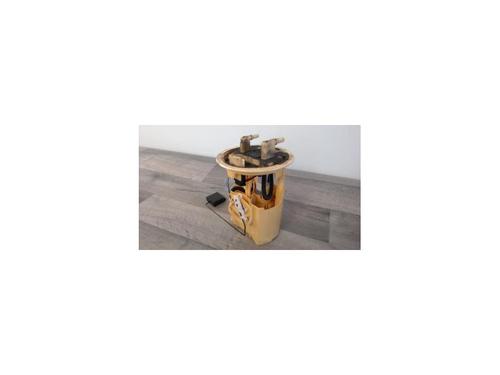 Used Fuel pump PEUGEOT 207 (WA_, WC_) 1.4 HDi (68 hp) 24932062