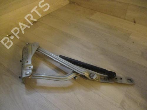 Tailgate lift support RENAULT MEGANE II Saloon (LM0/1_) 1.5 dCi (LM0F, LM0T, LM2B) | BP22613462C138 