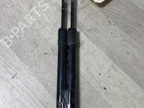 tailgate-lift-support-renault-megane-iii-hatchback-bz01_-b3_-2008-29209588 main image