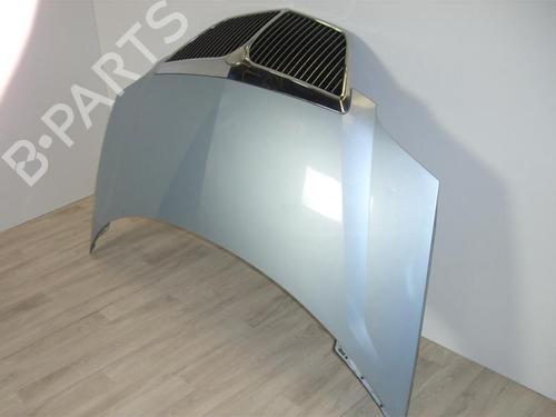 Hood LANCIA PHEDRA (179_) 2.2 JTD (179AXC1A) | BP24022237C1 