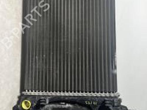Køler FIAT GRANDE PUNTO (199_) 1.2 (65 hp) 31086430