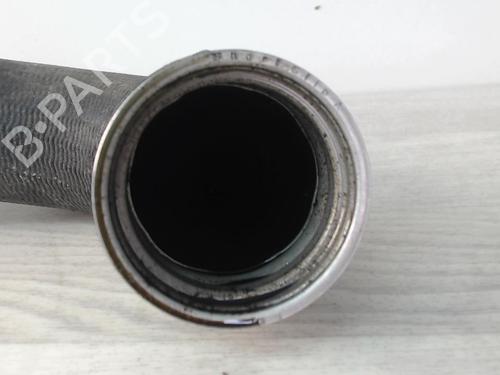 Other VW GOLF V (1K1) 1.9 TDI | BP31251967O1 