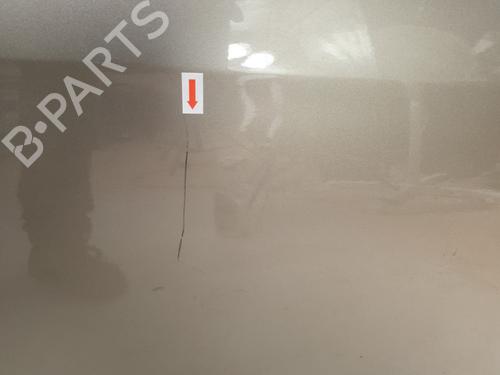 Right front door CITROËN C3 II (SC_) 1.4 | BP27577702C3