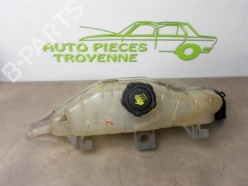 Used Expansion tank RENAULT CLIO III (BR0/1, CR0/1) 1.5 dCi (C/BR0G, C/BR1G) (68 hp) 21181683