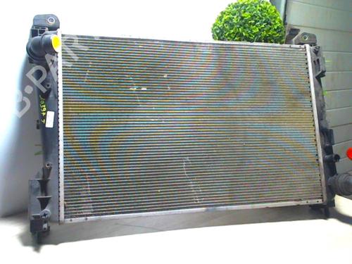 Used Water radiator FIAT GRANDE PUNTO (199_) 1.3 D Multijet (75 hp) 25618677