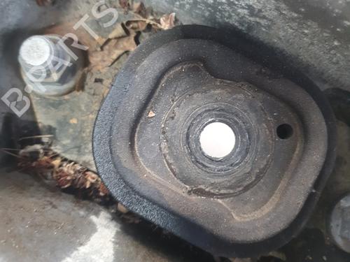 Engine mount RENAULT CLIO III (BR0/1, CR0/1) 1.2 16V (BR0P, CR0P) | BP29283171M89