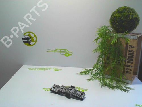 Used Licence plate light CITROËN XSARA PICASSO (N68) 2.0 HDi (90 hp) 28369678