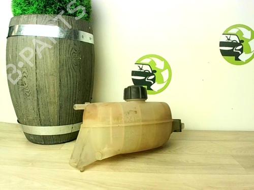 Ekspansjonstank RENAULT TRAFIC II Van (FL) 2.0 dCi 90 (FL0H, FL00, FL01, FL0M, FL0P, FL0S) | BP24027486C120