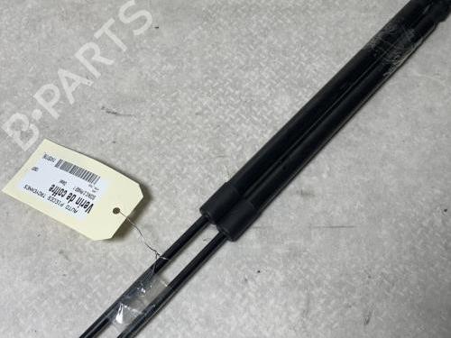 Tailgate lift support RENAULT SCÉNIC II (JM0/1_) 1.5 dCi (JM0F) | BP29726562C138 