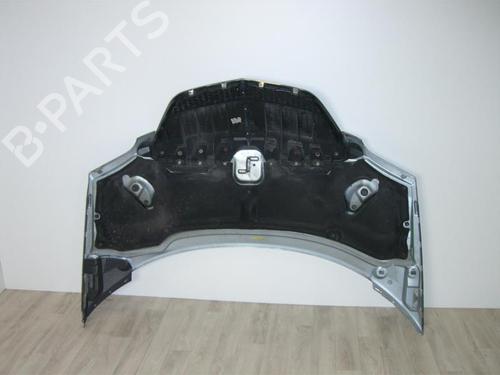 Hood LANCIA PHEDRA (179_) 2.2 JTD (179AXC1A) | BP24022237C1 