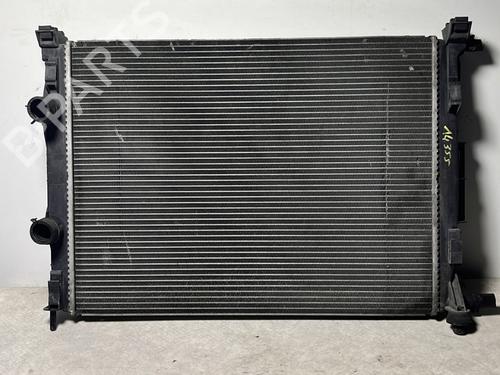 Used Water radiator Water radiator RENAULT MEGANE II (BM0/1_, CM0/1_) 1.5 dCi (BM1F, CM1F) (86 hp) 33541301 33541301