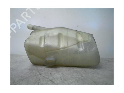 Expansion tank RENAULT MEGANE II (BM0/1_, CM0/1_) 1.9 dCi | BP21182443C120 