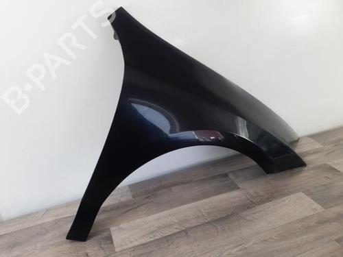 Right front fenders RENAULT LAGUNA Coupe (DT0/1) 2.0 dCi (DT01, DT08, DT09, DT0K, DT12, DT1C, DT1D, DT1M,... | BP25899877C42 