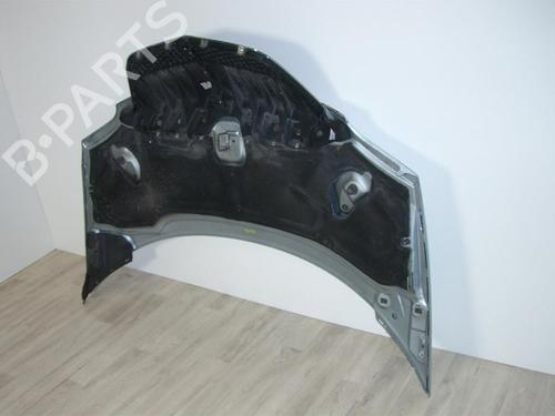 Hood LANCIA PHEDRA (179_) 2.2 JTD (179AXC1A) | BP24022237C1 