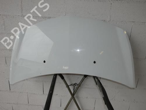 hood-renault-clio-iii-br01-cr01-15-dci-br17-cr17-7751476113-2005-2006-2007-2008-2009-2010-2011-2012-2013-2014-21821972 main image