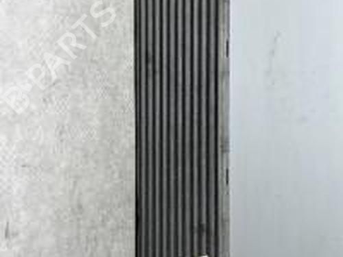Used Intercooler FORD S-MAX (WA6) 2.0 TDCi (136 hp) 31086317