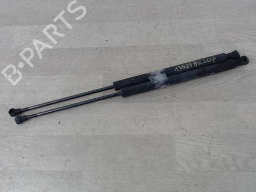 tailgate-lift-support-peugeot-207-wa_-wc_-2006-2007-2008-2009-2010-2011-2012-2013-2014-2015-31638202 main image