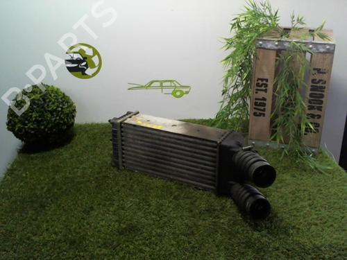 Used Intercooler CITROËN XSARA PICASSO (N68) 1.6 HDi (109 hp) 24021565