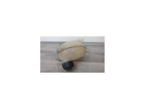 Used Expansion tank RENAULT CLIO IV Grandtour (KH_) 1.5 dCi 90 (KHN3, KHN4) (90 hp) 25157225