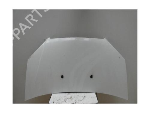Hood FIAT DOBLO Box Body/MPV (223_) 1.3 JTD 16V Multijet | BP25619098C1 