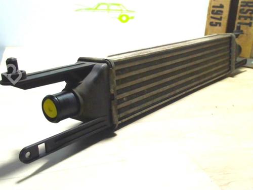 Used Intercooler FIAT GRANDE PUNTO (199_) 1.3 D Multijet (75 hp) 25618173