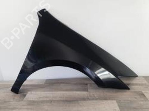 Right front fenders RENAULT LAGUNA Coupe (DT0/1) 2.0 dCi (DT01, DT08, DT09, DT0K, DT12, DT1C, DT1D, DT1M,... | BP25899877C42 