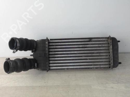 Intercooler CITROËN C3 Picasso (SH_) 1.6 HDi | BP24027315M30