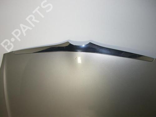 Hood TOYOTA COROLLA Verso (_E12_) 2.0 D-4D (CDE120_, CDE120R) | BP24023466C1 