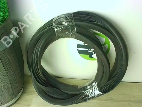 Gummiliste RENAULT ZOE (BFM_) ZOE | BP24025156C142