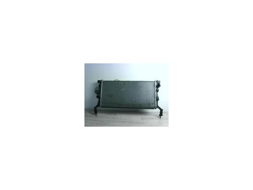 Used Water radiator RENAULT LAGUNA III (BT0/1) 2.0 dCi (BT01, BT08, BT09, BT0E, BT0K, BT12, BT1C, BT1D,... (150 hp) 24024861