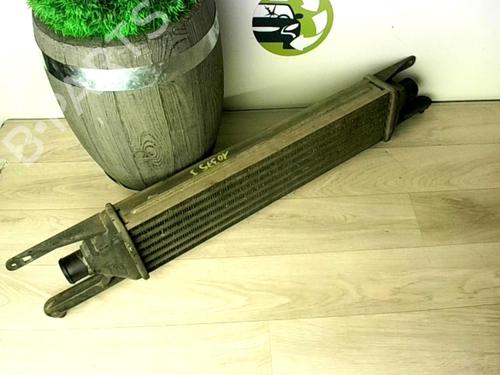 Used Intercooler FIAT GRANDE PUNTO (199_) 1.3 D Multijet (75 hp) 25618170
