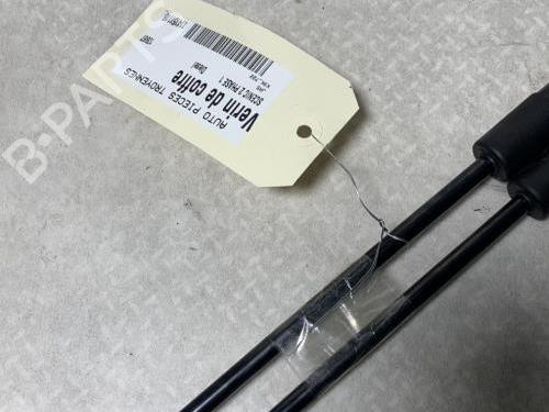 Tailgate lift support RENAULT SCÉNIC II (JM0/1_) 1.5 dCi (JM0F) | BP29726562C138 