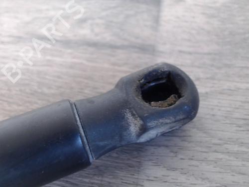 Tailgate lift support FORD FIESTA VI (CB1, CCN) 1.4 TDCi | BP31638042C138