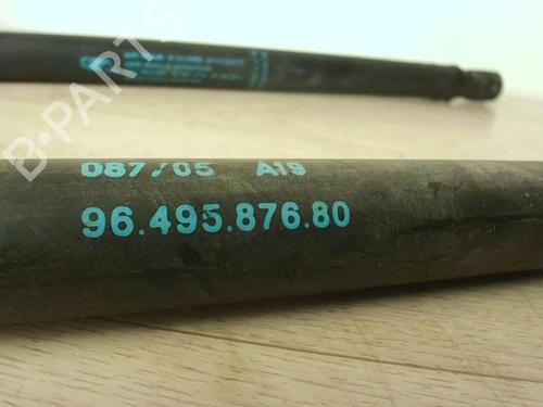 tailgate-lift-support-peugeot-1007-km_-2005-24023482 main image