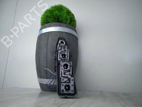 Nummerpladelys RENAULT SCÉNIC II (JM0/1_) 1.9 dCi (JM0G, JM12, JM1G, JM2C) (120 hp) 21181979