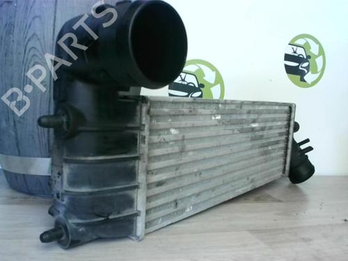 Intercooler FIAT ULYSSE (179_) 2.0 JTD | BP25618194M30 
