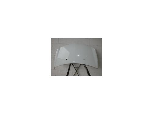 Used Hood RENAULT CLIO III (BR0/1, CR0/1) 1.5 dCi (BR17, CR17) (86 hp) 21821972