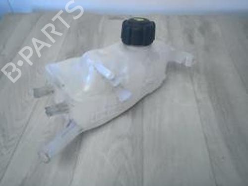 Used Expansion tank RENAULT SCÉNIC III (JZ0/1_) 1.5 dCi (86 hp) 29863938