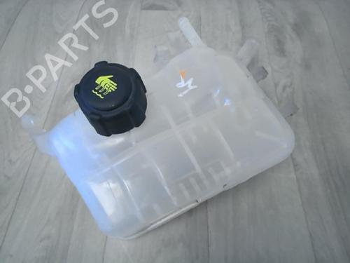 Expansion tank RENAULT SCÉNIC III (JZ0/1_) 1.5 dCi | BP29863938C120