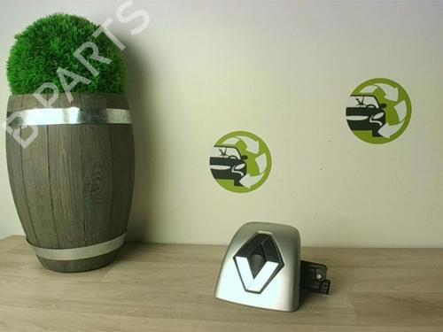 Used Tailgate handle RENAULT CLIO II (BB_, CB_) 1.5 dCi (BB3N, CB3N) (84 hp) 30807099