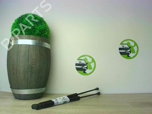 Tailgate lift support BMW 1 (E87) 118 d | BP25994906C138 