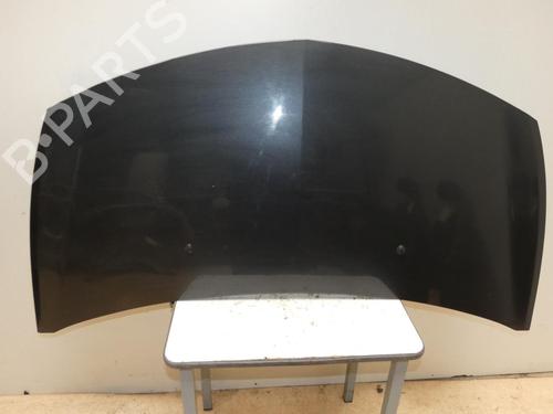 Hood RENAULT CLIO III (BR0/1, CR0/1) 1.5 dCi (BR17, CR17) | BP24026209C1