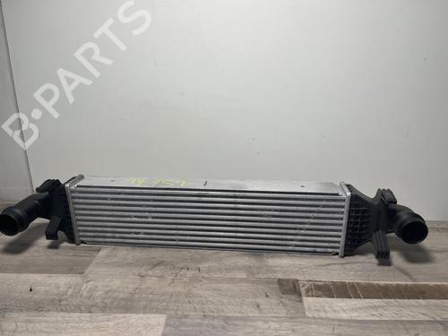 Used Intercooler Intercooler MERCEDES-BENZ A-CLASS (W176) A 180 CDI / d (176.012) (109 hp) 36668533 36668533