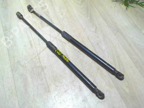 Used Tailgate lift support RENAULT CLIO III Grandtour (KR0/1_) 1.5 dCi (KR0G) (68 hp) 24023425