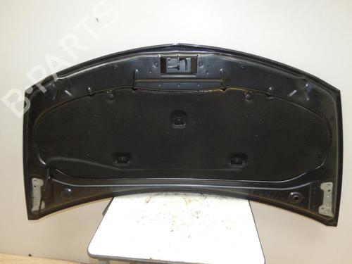 hood-renault-clio-iii-br01-cr01-2005-2006-2007-2008-2009-2010-2011-2012-2013-2014-24026209 main image