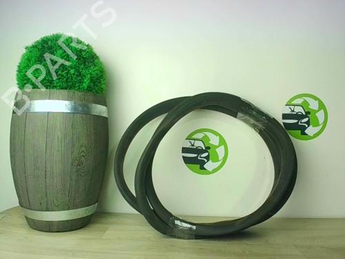 Gummiliste RENAULT ZOE (BFM_) ZOE | BP24025154C142