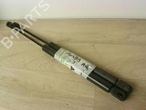 Tailgate lift support AUDI TT (8N3) 1.8 T | BP25618181C138 